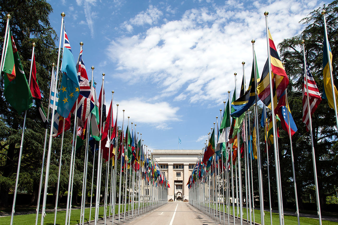 1280px united nations flags cropped